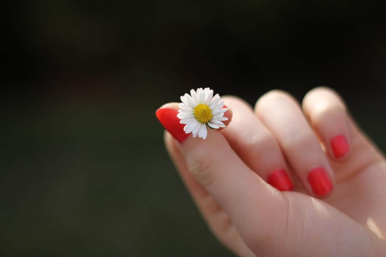 hand photo